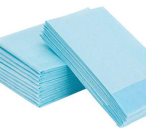 2023年中国成人失禁用品行业市场概况